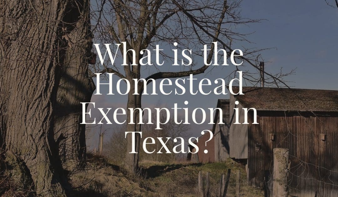 What is the Homestead Exemption in Texas?