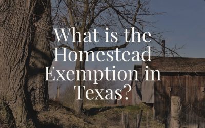 What is the Homestead Exemption in Texas?