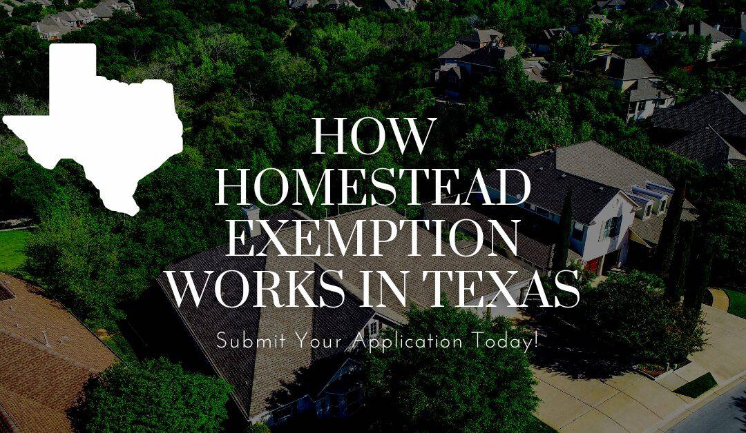 homestead application texas